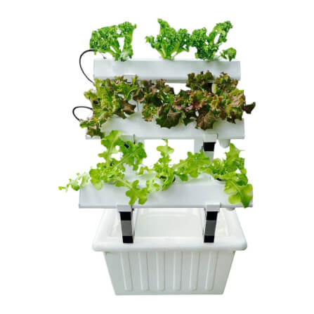 ชุดอุปกรณ์ปลูกผักไฮโดรโปนิกส์ HYDROHOBBY SR MINI แบบ 50 CM. 3 รางปลูก_6